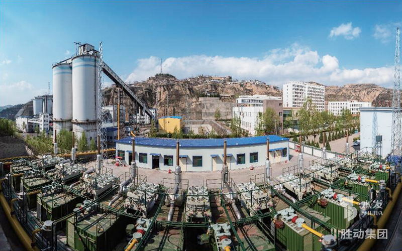 勝動(dòng)集團(tuán)