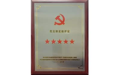 雙星閃耀映初心 黨建引領(lǐng)強(qiáng)發(fā)展&mdash;&mdash;勝動(dòng)集團(tuán)兩黨支部同獲五星級(jí)殊榮