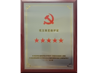雙星閃耀映初心 黨建引領(lǐng)強(qiáng)發(fā)展&mdash;&mdash;勝動(dòng)集團(tuán)兩黨支部同獲五星級(jí)殊榮